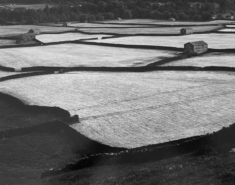 Ron Wohlaurer, Stone Barns | Afterimage Gallery