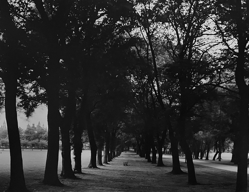 Ron Wohlaurer, The Meadows | Afterimage Gallery