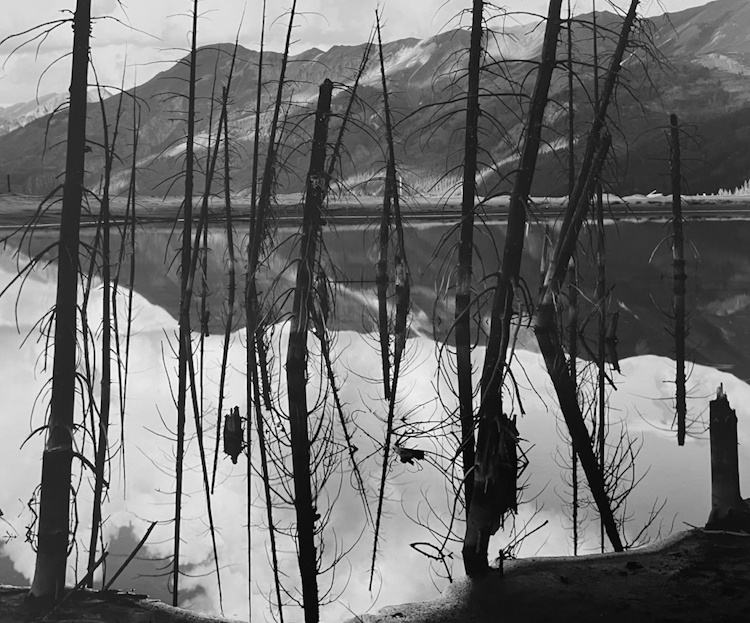 Ron Wohlaurer, Trees in Mountain Lake | Afterimage Gallery