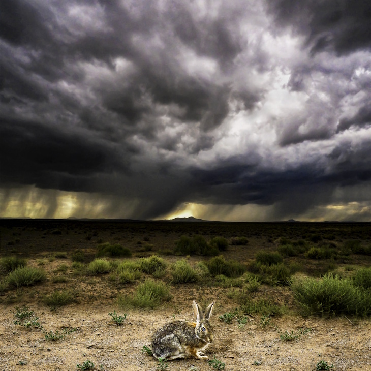 Elliott McDowell, Storm Eye | Afterimage Gallery