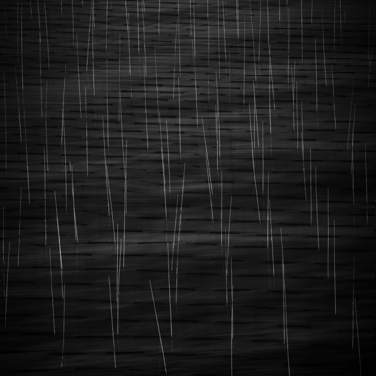 Donghai Xia, The Quiet Moment